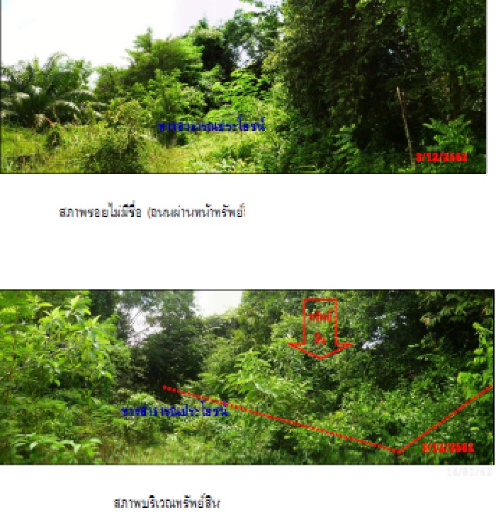img/20bb9d8d-6018-4cca-bf7d-292b19bf4b62