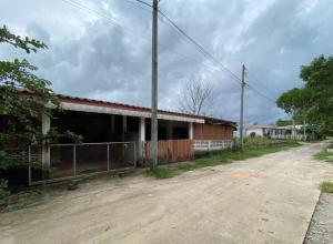 thumb/187a3872-1875-47ed-87a3-aef9c30059b7