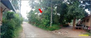 thumb/1c435ea3-c26f-433a-bb23-b19769a5cceb