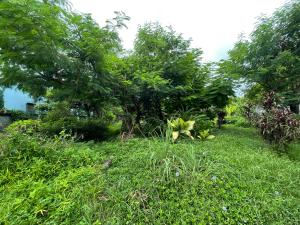 thumb/24e22b04-953a-4dfa-99eb-e4d0c8524269