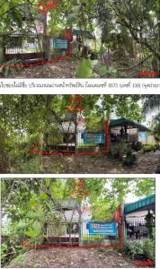 thumb/25c37d88-d4f6-4755-8ef5-fd38911cf2b4