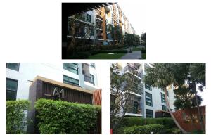 thumb/2d10426a-5fe2-4b46-9f46-012fc2fa7040