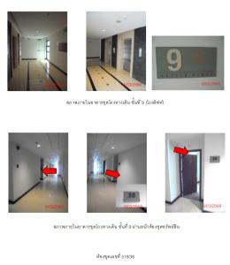 thumb/4426909b-34ae-4293-beb4-10ba55fe1652