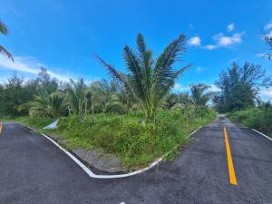 thumb/52b25550-559c-4cbd-b390-483bbfadef4d