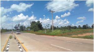 thumb/563d07c7-12bb-4599-95d4-72dcba53ddfe