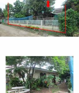 thumb/5cb8a1b1-f79d-4662-90c6-e29aa4e43499
