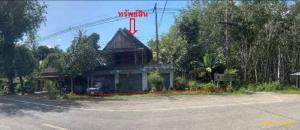 thumb/72667483-76dd-47df-a236-3e6e47cd272c
