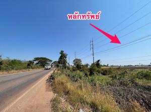 thumb/74cbade3-1fa7-4c1f-9c54-fdaf8937b665