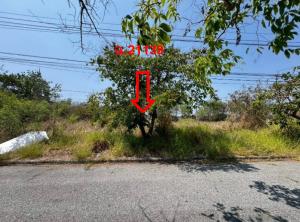 thumb/8eda2f22-2adb-4834-966a-89defef59cd1