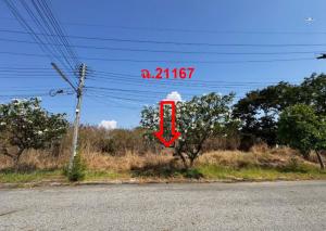 thumb/92c03600-30a5-4c79-9a22-71ac8b059b14