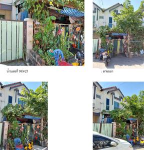 thumb/936aa1ef-325c-4ee2-83e6-72d38897032e