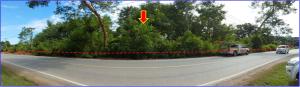 thumb/99b94695-7531-40d6-9460-9fcf434e6590