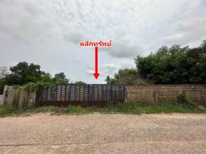 thumb/aa3a0aff-8aec-40fc-af18-8a77c46483f1