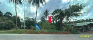 thumb/b6624e74-06ee-4bf5-b76c-2835f5d5bc2e
