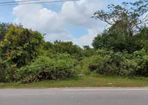 thumb/bc3b116d-0687-4328-8ade-f444bcb83625