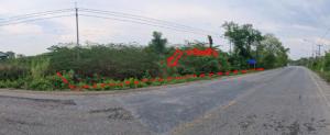 thumb/d392de38-7a97-43da-9e3c-94c9cf605b20