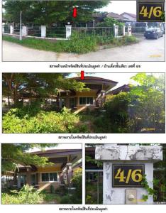 thumb/d9219d38-ed63-4d5d-8dea-6f829af45c3c
