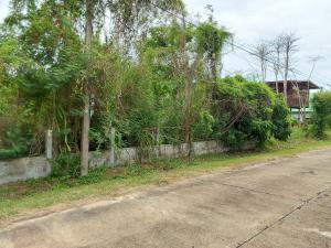 thumb/ef767bc0-6953-4070-9d37-fdbf19e54770