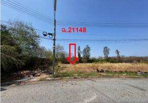 thumb/fd7833f2-d260-4683-986e-6ab648174190
